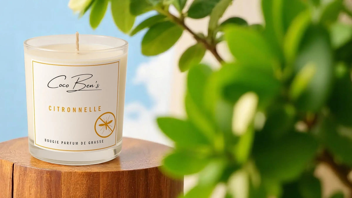 Bougies de Plein Air