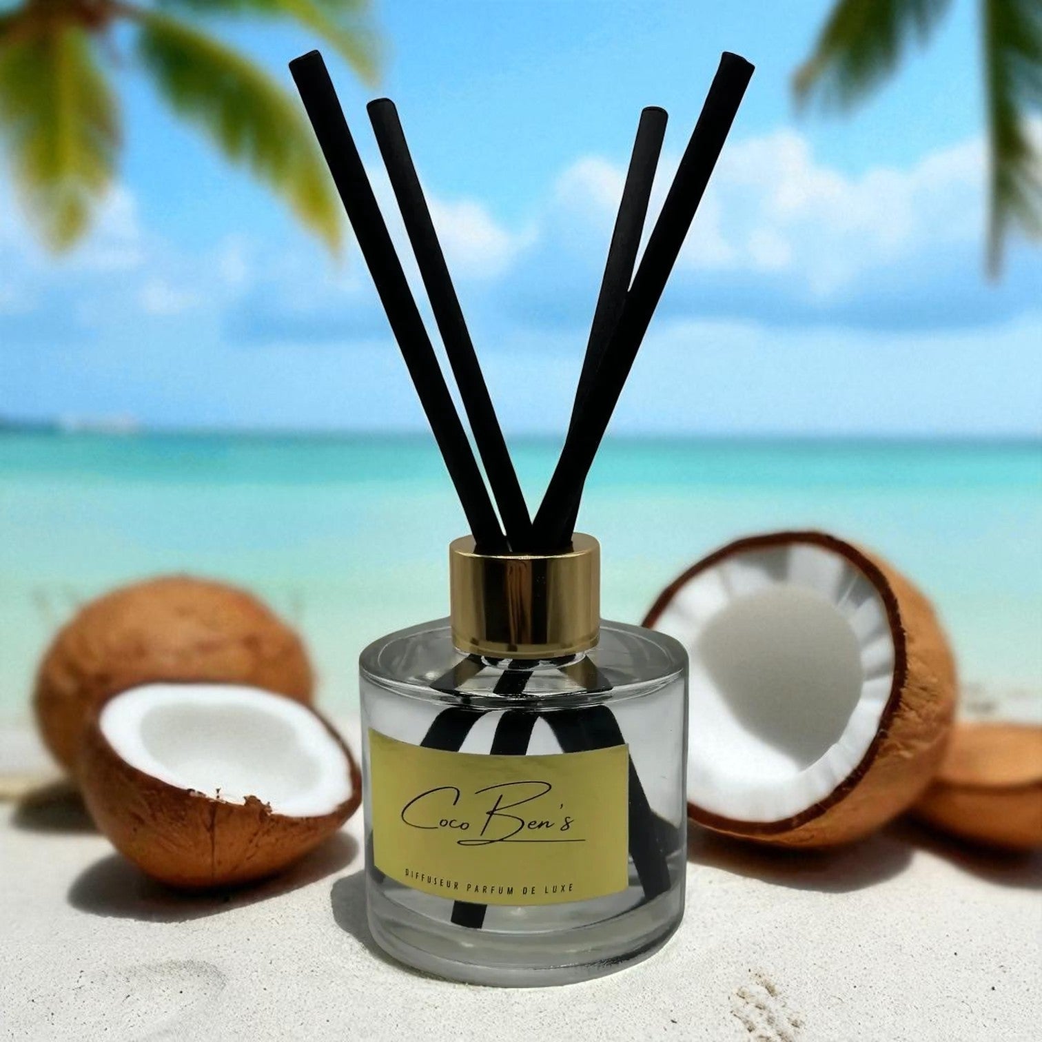 Diffuseur de parfum de Grasse - Noix de Coco - 100ml CocoBen's - Maison