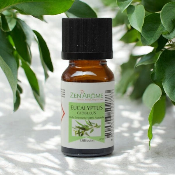 Huiles Essentielles - Eucalyptus - 10 ml