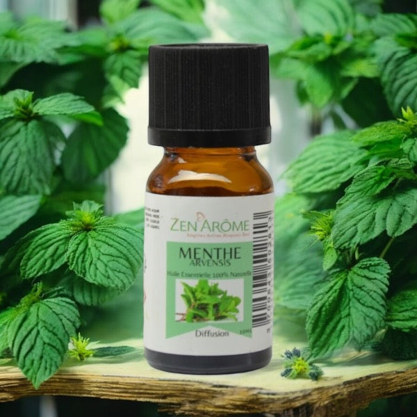 Huiles Essentielles - Menthe Arvensis - 10 ml