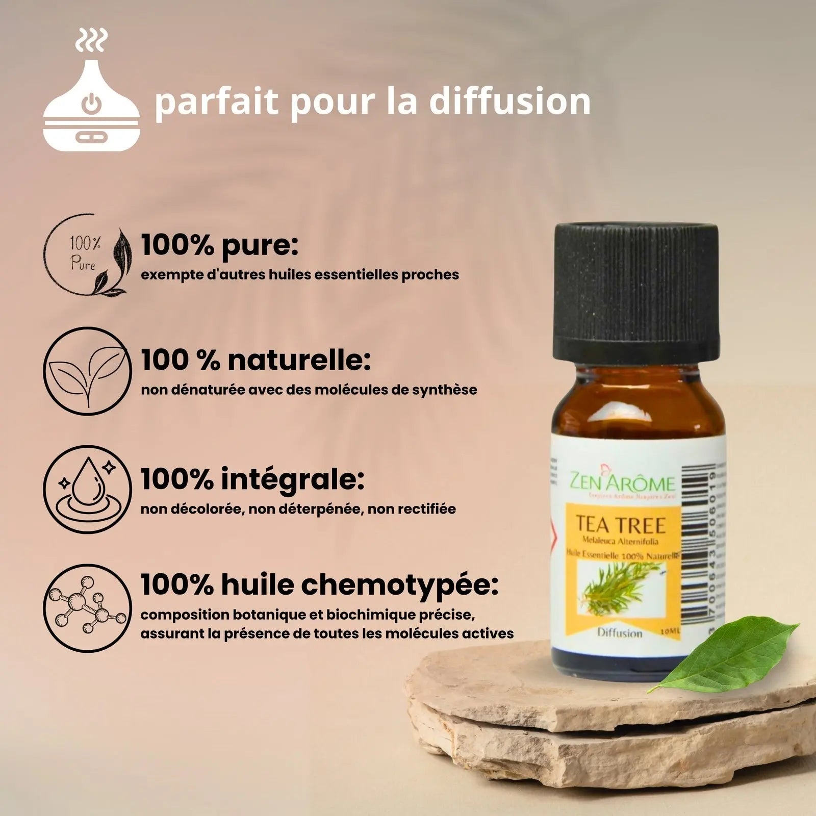 Huiles Essentielles - Arbre à Thé - 10 ml - CocoBen's