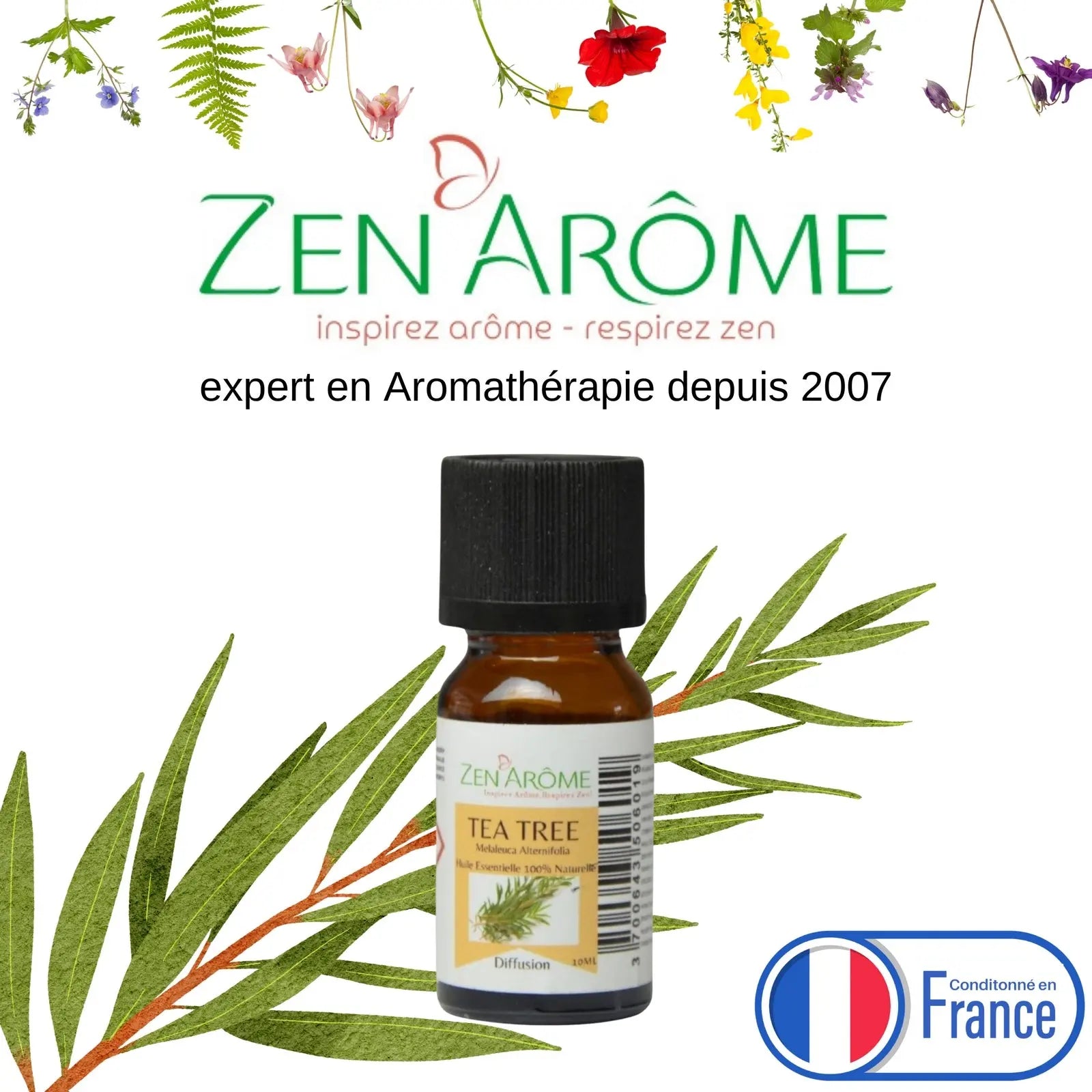 Huiles Essentielles - Arbre à Thé - 10 ml - CocoBen's