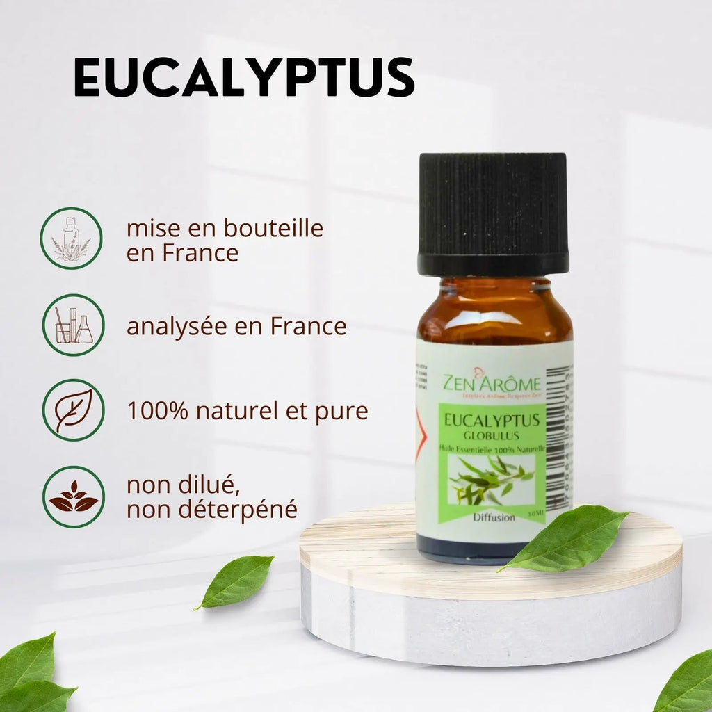 Huiles Essentielles - Eucalyptus - 10 ml - CocoBen's