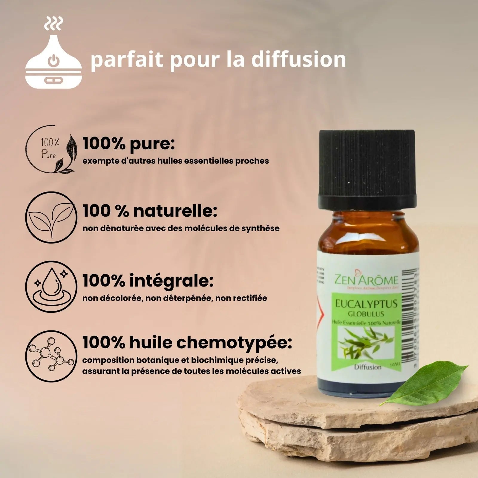 Huiles Essentielles - Eucalyptus - 10 ml - CocoBen's