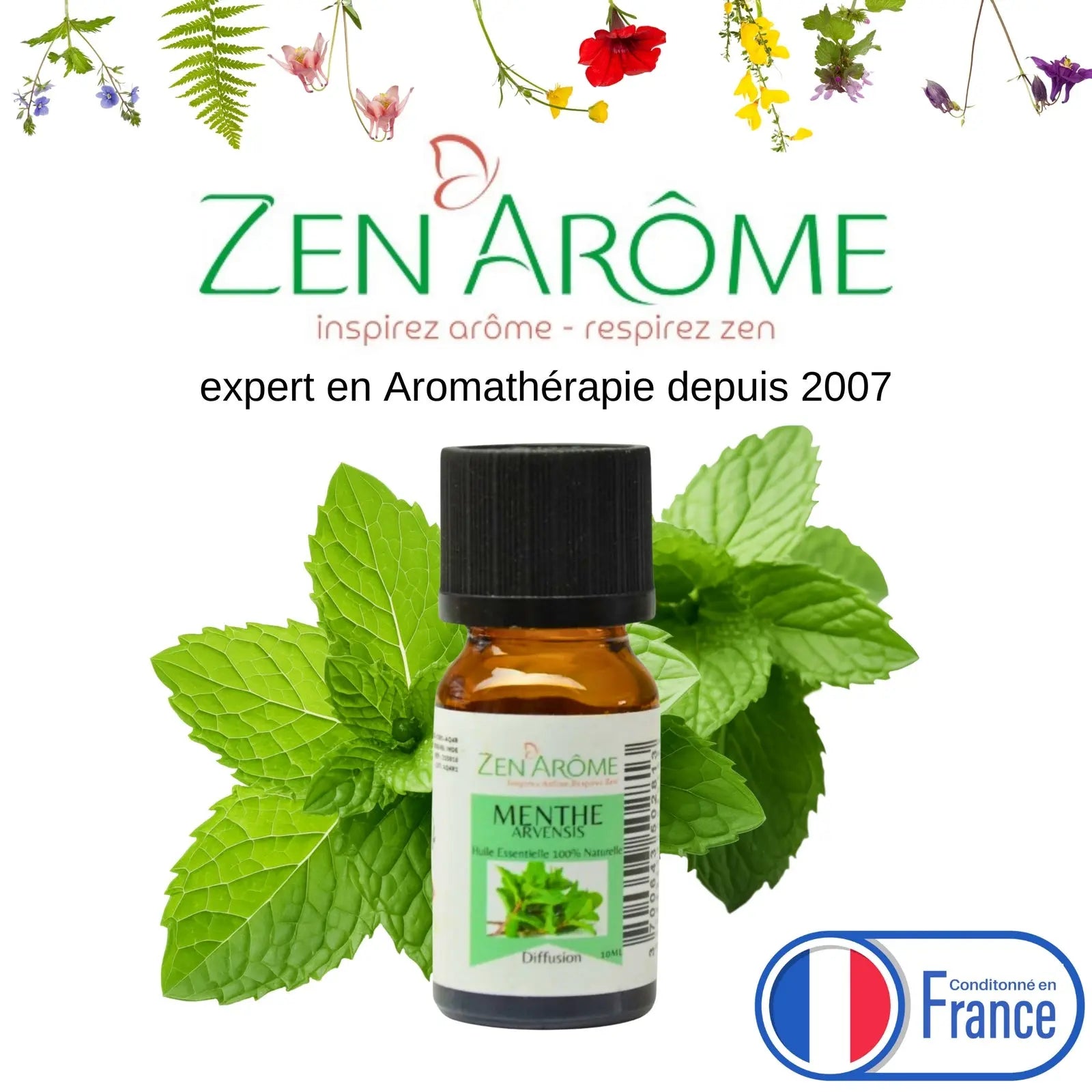 Huiles Essentielles - Menthe Arvensis - 10 ml - CocoBen's
