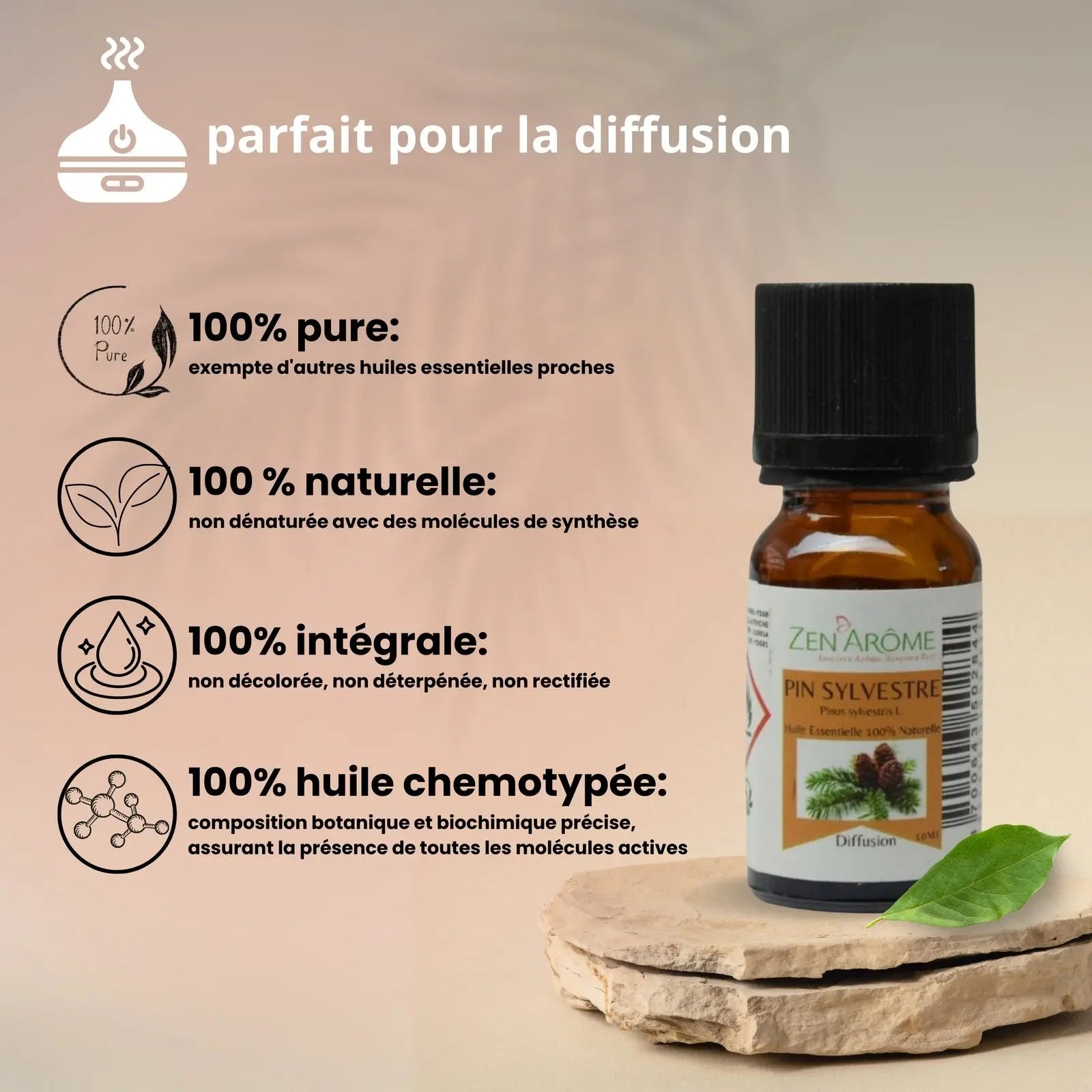Huiles Essentielles - Pin Sylvestre - 10 ml - CocoBen's