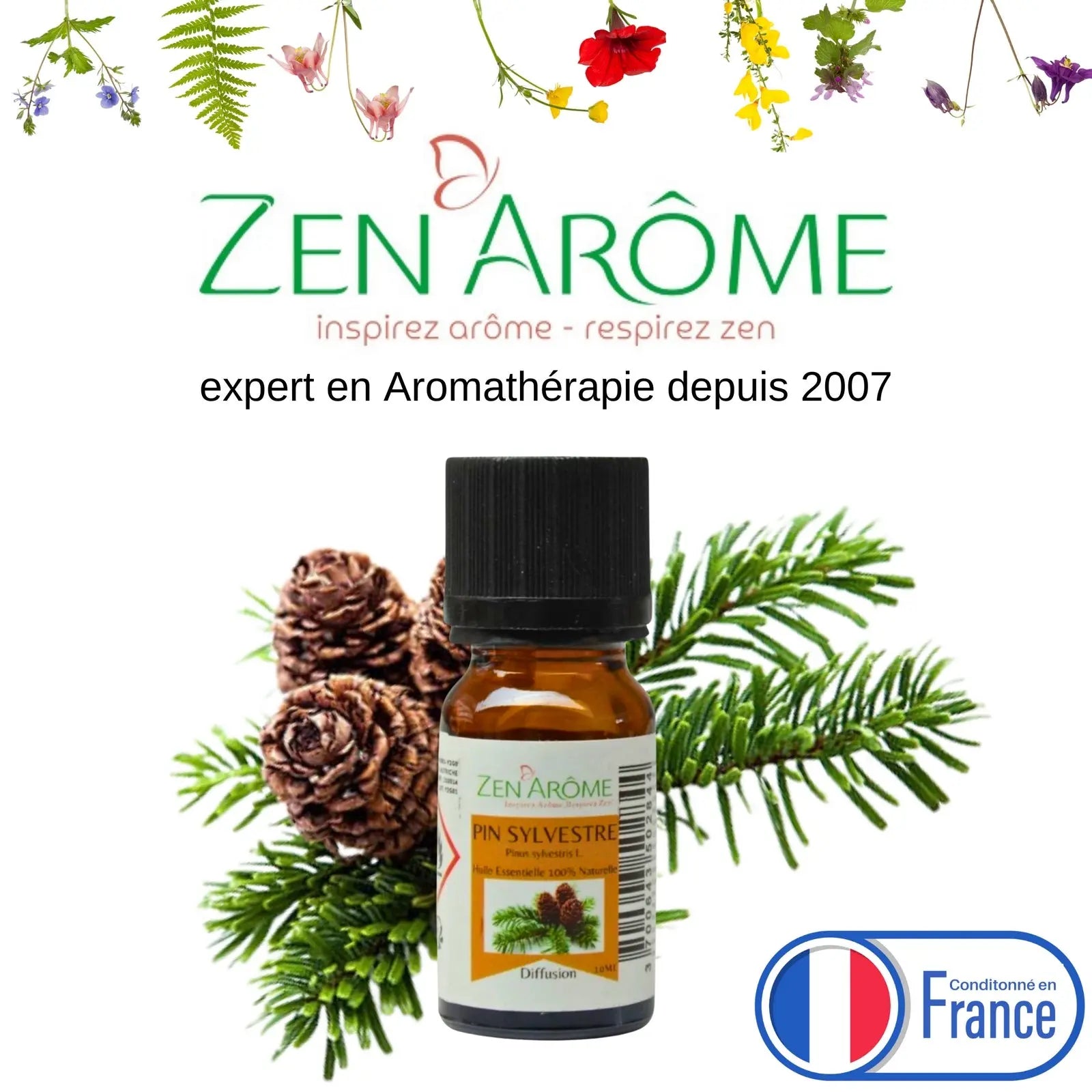 Huiles Essentielles - Pin Sylvestre - 10 ml - CocoBen's