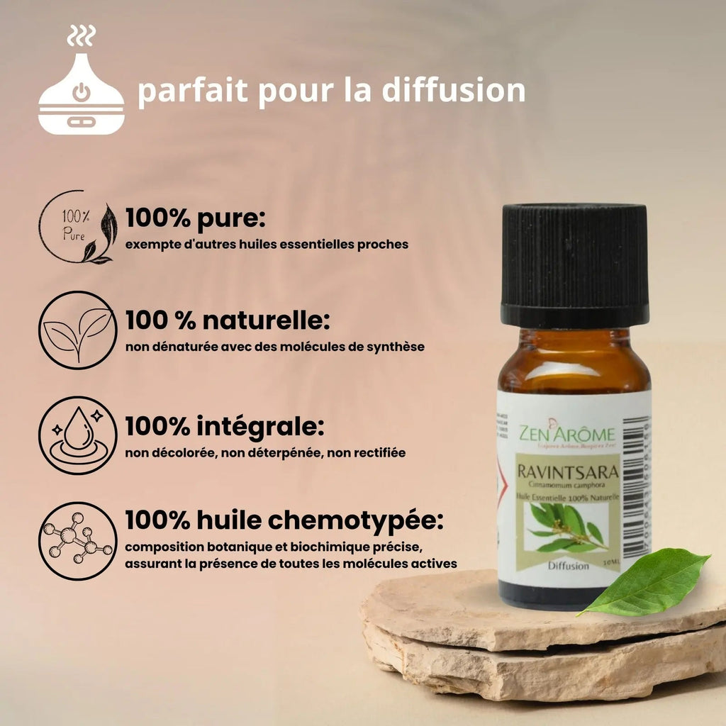 Huiles Essentielles - Ravintsara - 10 ml - CocoBen's