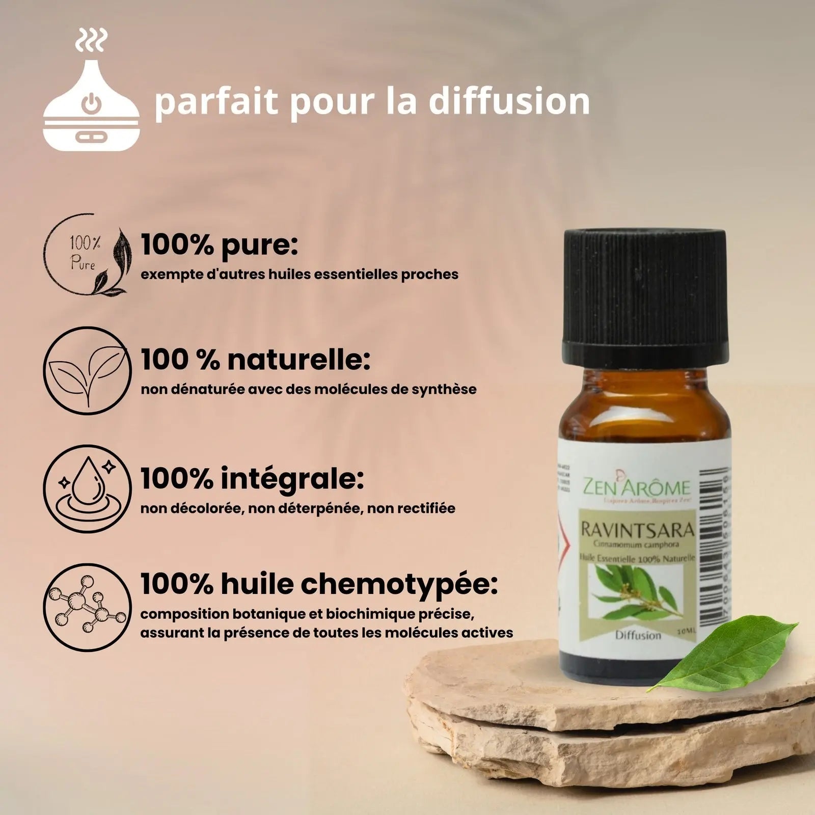 Huiles Essentielles - Ravintsara - 10 ml - CocoBen's