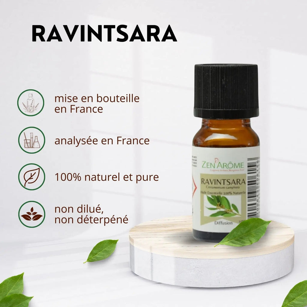 Huiles Essentielles - Ravintsara - 10 ml - CocoBen's