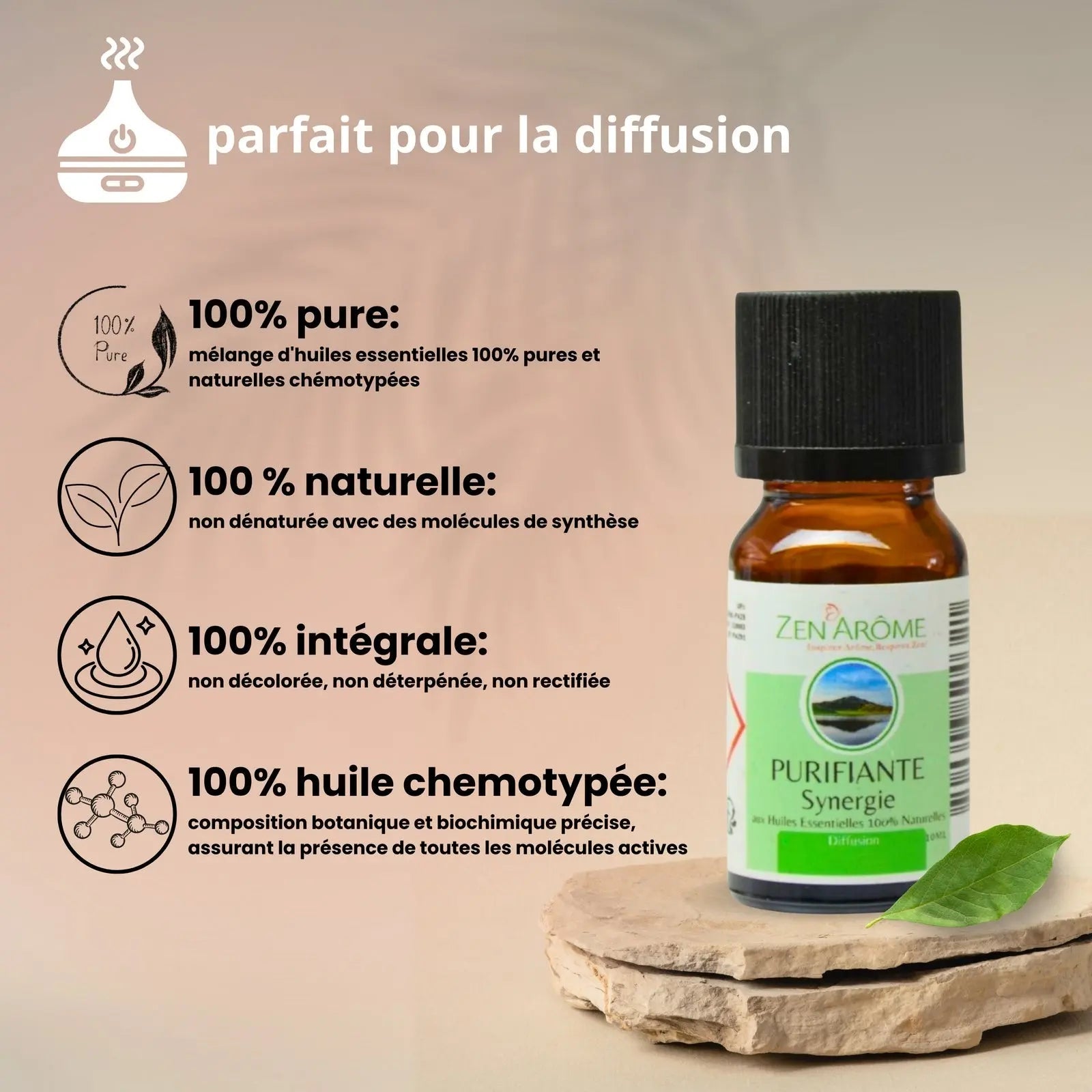 Synergie d'huiles essentielles - Purifiante - 10 ml - CocoBen's